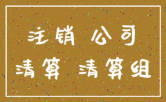 南京 公司注销证明