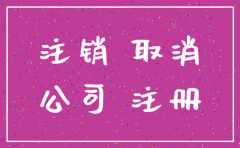 南宁市注销公司简易程序