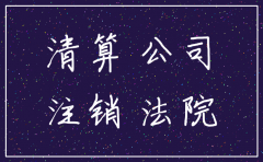 公司注销公司执行