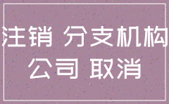集团公司注销分公司