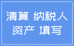 公司注销的资产处置报告怎么写