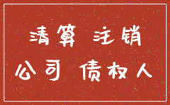 公司未注资注销说明