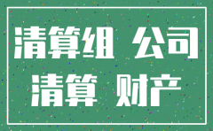 注销子公司程序