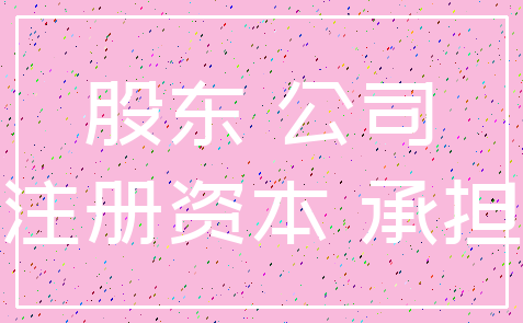 股东 公司_注册资本 承担