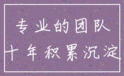 专业的团队_十年积累沉淀