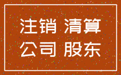 一人独资有限公司注销程序