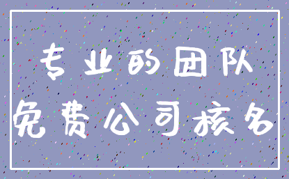 专业的团队_免费公司核名