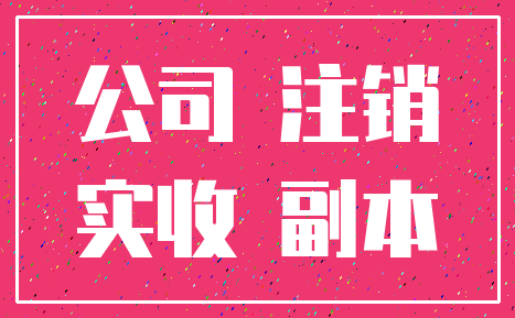 公司 注销_实收 副本