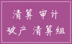 公司清算注销  审计评估