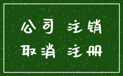 非公司企业注销登记表