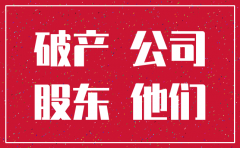 外资独资公司注销股东决定书