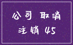 上海工商公司 注销流程