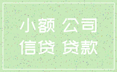 天津小额贷款公司税务注销