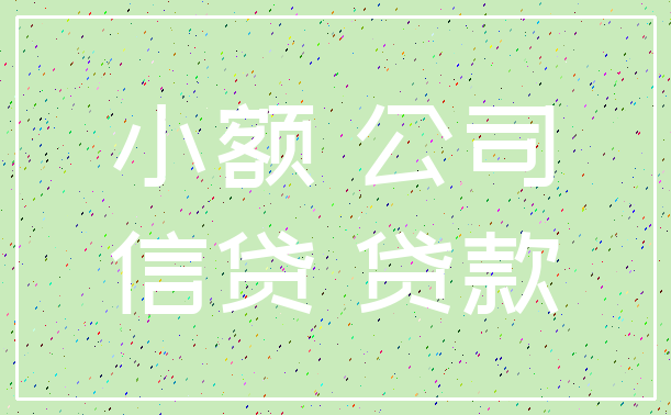 小额 公司_信贷 贷款