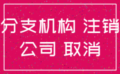允许分公司注销文件