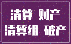 注销公司清算方案怎么写