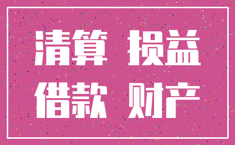 清算 损益_借款 财产