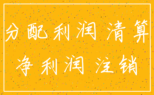 分配利润 清算_净利润 注销
