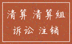 被注销公司有没有主体资格