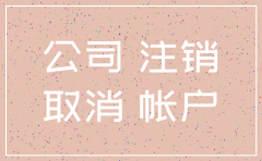 公司注销专管员怎么查账