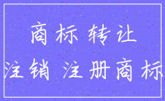 公司注销后的商标权益