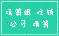 公司注销登报所需资料
