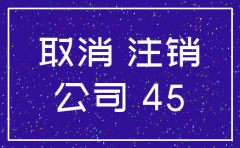 上海分公司税务网上注销