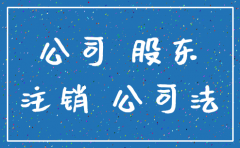 公司未经清算即注销的股东责任