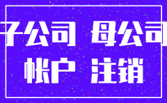 全资子公司注销 母公司分录