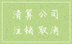同意子公司税务注销范文
