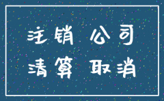 公司注销原因是