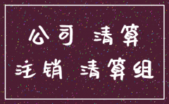 公司注销申请怎样写