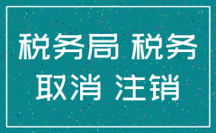 公司注销清算税务审计报告