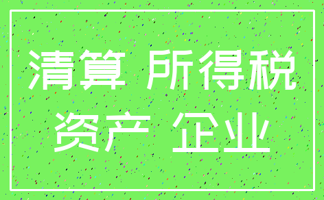 清算 所得税_资产 企业