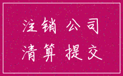 公司简易注销后需要什么材料