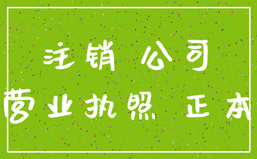 注销 公司_营业执照 正本