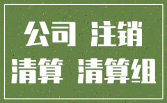 投资公司应该怎么注销