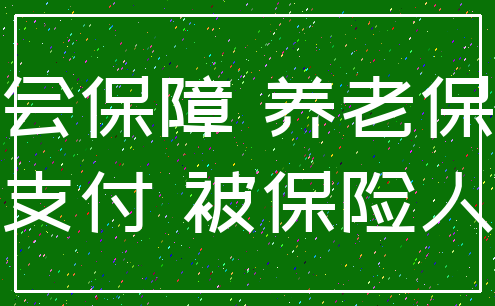 社会保障 养老保险_支付 被保险人