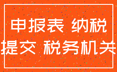 申报表 纳税_提交 税务机关