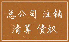 分公司注销剩余资产如何处理