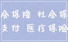 公司注销社保补