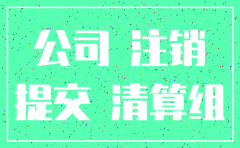 广州市分公司办理注销流程
