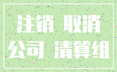 公司设立 后不注销 爱尔兰