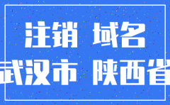 注销陕西省的公司