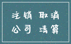 小规模公司注销报告怎么写