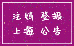 上海注销公司 有哪些报纸