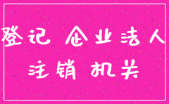 被告在诉讼中注销公司了怎么办
