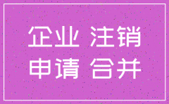 国有全资子公司注销程序