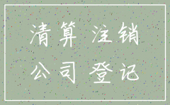 公司法人注销 提供材料