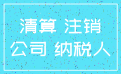 公司注销注册资本情况说明模板